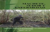 MACHETE, SUDOR Y ENFERMEDAD - IFA · 2021. 1. 23. · IFA Corporación para el Desarrollo de la Producción y el Medio Ambiente Laboral Investigación y Elaboración: Raúl Harari,