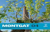 Revista MUNiCiPaL MONTGAT 04 · REVISTA munIcIpAl MonTgaT 3 Montgat té grans potencials Des de l’equip de Govern estem treballant de manera intensa per ajustar al màxim els comptes