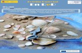 Boletín Especial En ReDregp.pesca.mapama.es/.../boletines/Boletin_especial_n3.pdfBoletín Especial En ReD Nº 3—2021 Suscríbete aquí a nuestros boletines Fundación CETMAR —