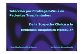Infección por CitoMegaloVirus en Pacientes Trasplantados: De la …³n... · 2012. 11. 13. · Infección por CitoMegaloVirus en Pacientes Trasplantados: De la Sospecha Clínica
