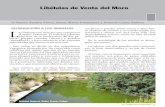 Libélulas de Venta del Moro · 2012. 1. 9. · 26 - EL LEBRILLO CULTURAL Habita en aguas estancas, estacionales o no y en cursos medios y bajos de ríos. Abundante, localizada hasta