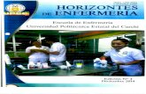 ISSN 1390-6984 LATINDEX 22990 HORIZONTES DE ENFERMERÍArepositorio.utn.edu.ec/bitstream/123456789/4659/1/20... · 2016. 3. 1. · ENFERMERÍA IMBABURA-ECUADOR SUSANA MENESES DÁVILA