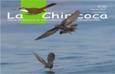 Marzo 2017 La Chiricoca...Resumen de Avistamientos, Enero – Junio 2016 por Rodrigo Barros y la red de observadores de aves 28-48 Diarios entomológicos Insectos de un desierto tropical: