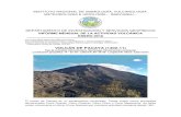 VOLCÁN DE PACAYA (1402-11) - INSIVUMEH...VOLCÁN DE FUEGO INFORME MENSUAL Enero 2018 Página 2 de 5 Durante el mes de enero el volcán de Pacaya continua con la presencia de flujos
