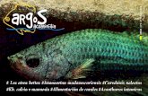 Los otros bettas #Aponogeton madagascariensis #Corydoras …aquaticnotes.com/content/pub/ES/argos5.pdf · 2018. 5. 30. · Acuarofilia en la Red Kh, calcio y magnesio Noticias •