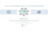 MÉXICO - ONU · 2020. 8. 10. · 2013 / N / Reserva de Biosfera El Pinacate y Gran Desierto de Altar ... La cocina tradicional mexicana - El paradigma de Michoacán / 2010 El Mariachi,