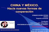 CHINA Y MÉXICO. - Dussel Peters · Comercio desagregado México-China (participación sobre las importaciones totales) 2010 1995-2010 Total 15.13 7.53 66 Umbrella,Wlk-Sticks,Etc