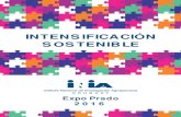 Publicación Expo Prado 2016 FINALºblicos/UCTT/Exposiciones/Expo... · 2016. 9. 2. · Un ejemplo son las rotaciones de cultivos y pasturas que se llevan adelante hace más de 50
