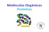 Proteínas ... 2018/04/04  · Resumen de la clase anterior Lípidos Características-Molécula orgánica.-Formada por C,H, O. Clasificación Saponificable Insaponificable Energética