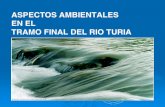 ASPECTOS AMBIENTALES EN EL TRAMO FINAL DEL RIO TURIA...PRESENTACION DEL TRAMO OBJETO DE ESTUDIO. ULTIMO TRAMO NATURAL DEL TURIA. CAUCE. ORIGINAL. CAUCE. NUEVO – PLAN SUR. VALORES