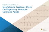 Experto Universitario en Insuficiencia Cardiaca, Shock ......Novedades sobre insuficiencia cardiaca, shock cardiogénico y síndrome coronario agudo. Contiene ejercicios prácticos