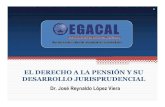 EL DERECHO A LA PENSI N Y SU DESARROLLO JURISPRUDENCIALtransparencia.mtc.gob.pe/idm_docs/Oper_Personal/1733.pdf · 2011. 5. 11. · Exp. Nº 1417-2005-AA/TC. Caso: Anicama Hernández