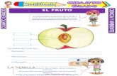 El Fruto para Cuarto Grado de Primaria - Web del Docente · Web viewEL FRUTO La semilla es el óvulo fecundado, desarrollado y maduro. Una semilla contiene un embrión del que puede