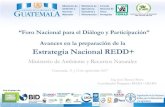 Estrategia Nacional REDD+ · 2017. 10. 9. · Estrategia Nacional REDD+: Paquete de Preparación (R-Package) • En 2013, a través de la aprobación de su propuesta de programa (R-PP),