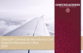 Dirección General de Aeronáutica Civil Aviación Mexicana en … · 2019. 6. 26. · regular, sujetos a un itinerario y horario fijos. b) El número de pasajeros transportados en