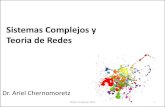 Sistemas Complejos y Teoria de Redesmaterias.df.uba.ar/.../2020/04/01_SistemasComplejos.pdf · 2020. 4. 13. · Sistemas Complejos RAE: complejo, ja Del lat. complexus, part. pas.