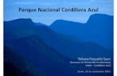 Parque Nacional Cordillera Azul - IAI · 2019. 9. 11. · Parque Nacional Cordillera Azul (P NCAZ) • 1’35 millones de ha • Bosque 200 – 2,400msnm • Entre las cuencas del