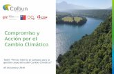 Compromiso y Acción por el Cambio Climático · 2018. 12. 11. · Compromiso y Acción por el Cambio Climático Taller “Precio Interno al Carbono para la gestión corporativa del