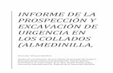 EXCAVACIÓN DE URGENCIA DE LOS COLLADOS (ALMEDINILLA, … · 2019. 10. 6. · 2 1. Introducción El siguiente informe recoge el resumen de las intervenciones llevadas a cabo en la