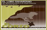 Lobo sahariano 1 - Sociedad Gaditana de Historia Naturalsociedadgaditanahistorianatural.com/wp-content/uploads/... · 2016. 2. 20. · los rebaños del ataque de los lobos. Incluso