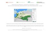 MINISTERIO DE AMBIENTE Y DESARROLLO SOSTENIBLE MADS INSTITUTO DE … · 2019. 12. 19. · 6 Reporte de Reducción de Emisiones- Año 2016– Bioma amazónico de Colombia. Ministerio