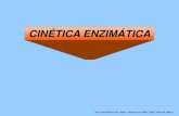 Presentación de PowerPointsgpwe.izt.uam.mx/.../3_Cinetica_enzimatica.pdf · 2021. 2. 12. · •Proteínas con actividad catalítica de los seres vivos. • Unidades del Metabolismo