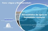 Foro: «Agua y Biodiversidad» - MINAM · 2017. 6. 3. · Un nuevo marco institucional y legal del agua en el Perú La Autoridad Nacional del Agua, creada el 13 de marzo de 2008 por