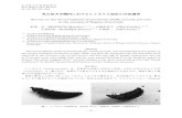 Survey on the larval habitats of terrestrial ﬁreﬂy, Luciola parvula · 2015. 12. 14. · — 153 — 名古屋大学博物館報告 Bull. Nagoya Univ. Museum No. 26, 153–163,