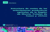 Estructura de costes de las hueso y cítricos - AILIMPO · 2019. 2. 25. · Estructura de costes de las orientaciones productivas agrícolas de la Región de Murcia: frutales de hueso