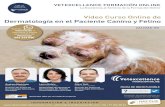 Video Curso Online de Dermatología en el Paciente Canino y Felino · 2021. 1. 20. · Video Curso Online de Dermatología en el Paciente Canino y Felino CALIDAD HD VETEXCELLENCE