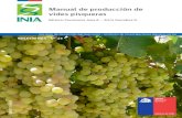 Manual de producción de vides pisqueras - INIA · 2020. 12. 13. · Manual de producción de vides pisqueras[1] Instituto de Desarrollo Agropecuario - Instituto de Investigaciones