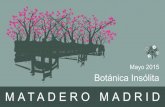 MATADERO MADRID - GardenDrum...MATADERO MADRID Botánica insólita pretende ser una experiencia sensorial, en donde intervengan todos los sentidos, un espacio en el que se concentran