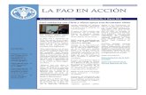 LA FAO EN ACCIÓNde FAO en Chile, Santiago tam-bién es sede de la Oficina Regio-nal de la FAO para América Latina y el Caribe. Todos los funcionarios de FAO en Chile, incluyendo