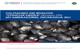 CO-MANEJO DEl BIVALVOS “CONCHA NEGRA” Anadara SSP EN … · 2016. 5. 18. · Co-manejo del Bivalvos “Concha Negra” (anadara ssp) en Aserradores, Nicaragua 2011 5Las “conchas