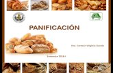 PANIFICACIÓN · 2018. 12. 9. · Se puede hacer de forma manual o mecánica. Cocción Cierra el ciclo del proceso de elaboración del pan. Transformación de la masa fermentada en