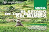 EL ESTADO DE LOS BOSQUES DEL MUNDOEl estado de los bosques del mundo 2016 se publica en el momento más oportuno, pues la FAO trabaja para desempeñar una función clave en la prestación