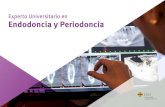 Experto Universitario en Endodoncia y Periodoncia · 2020. 10. 19. · Novedades sobre Endodoncia y Periodoncia. Sistema interactivo de aprendizaje basado en algoritmos para la toma