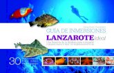 GUêA DE INMERSIONES LANZAROTE - Puerto del Carmen...ideal LANZAROTE, RESERVA DE LA BIOSFERA El 7 de octubre de 1993 Lanzarote es declarada por la UNESCO Reserva de la Biosfera, convirti