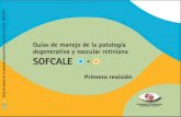 GUIAS SOFCALE CON RECTIFICACION ELENA · 2021. 1. 8. · Ya hace 8 años con la ilusión y el trabajo de un grupo de oftalmólogos de Castilla y León comenzamos la elaboración de