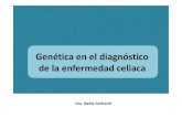 Genética en el diagnóstico de la enfermedad celiaca...HLA- características • Es poligénico; está constituido por varios genes clasificados en tres regiones. • Son altamente