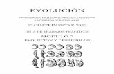 EVOLUCIÓN³dulo-5... · 2020. 11. 6. · del Desarrollo como herramienta para estudiar la evolución. En 1978, E.B. Lewis descubre los genes Hox (los encargados de dar identidad