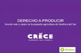 DERECHO A PRODUCIR - Sudamérica Rural · 2012. 10. 5. · El papel de la agricultura en la región La mayoría de los países de América del Sur pertenecen a la categoría de países