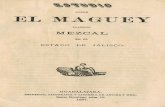 HISTORIA DEL TEQUILA sobre el Maguey... · 2020. 7. 12. · Amarilideas.] Varias son las clases de esta preciosa planta mexicana que para la industria del licor llamado vino mezcal,