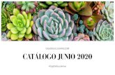 CAJADESUCULENTAS.COM CATÁLOGO JUNIO 2020 · 2020. 6. 14. · Al pertenecer a las suculentas o plantas crasas entre las que están también los cactus, tienen un órgano que acumula