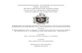 UNIVERSIDAD NACIONAL AUTÓNOMA DE NICARAGUA ...1 Crespo Villalaz C. (2007). Mecánica de suelos y cimentaciones (6ta. ed.). México: Editorial Limusa. Pág. 22. Párr. 2. vi Costos