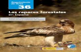 en España - SEO/BirdLife · 2018. 5. 4. · 36 36 Las rapaces forestales en España Población reproductora en 2009-2010 y método de censo Las rapaces forestales en España. ...