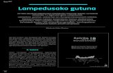Lampedusako gutuna · 172 Oarso 2017 Lampedusako gutuna 2016ko abuztuan Mikelazulon antolaturiko Harresirik Gabeko Lurraldeak ekimeneko 14 lagun joan ginen Lampedusara.