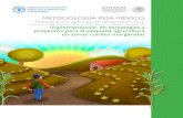 Metodología pesa México: Manual para agentes de desarrollo ...Paulina Escobedo Flores Directora General de Desarrollo Territorial y Organización Rural Rubén Luna Miranda Director