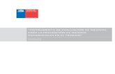 Instituto de Salud Pública de Chile - Instrumento de ......Instituto de Salud Pública de Chile, “Instrumento de Evaluación de Medidas para la Prevención de Riesgos Psicosociales