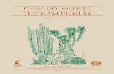 Flora del valle de Tehuacán-Cuicatlan - Internet Archive · 2018. 12. 18. · FLORA DEL VALLE DE TEHUACAN- CUICATLAN 1-7. 2018 . En TROPICOS Ilex y Nemopanthus se reconocen como